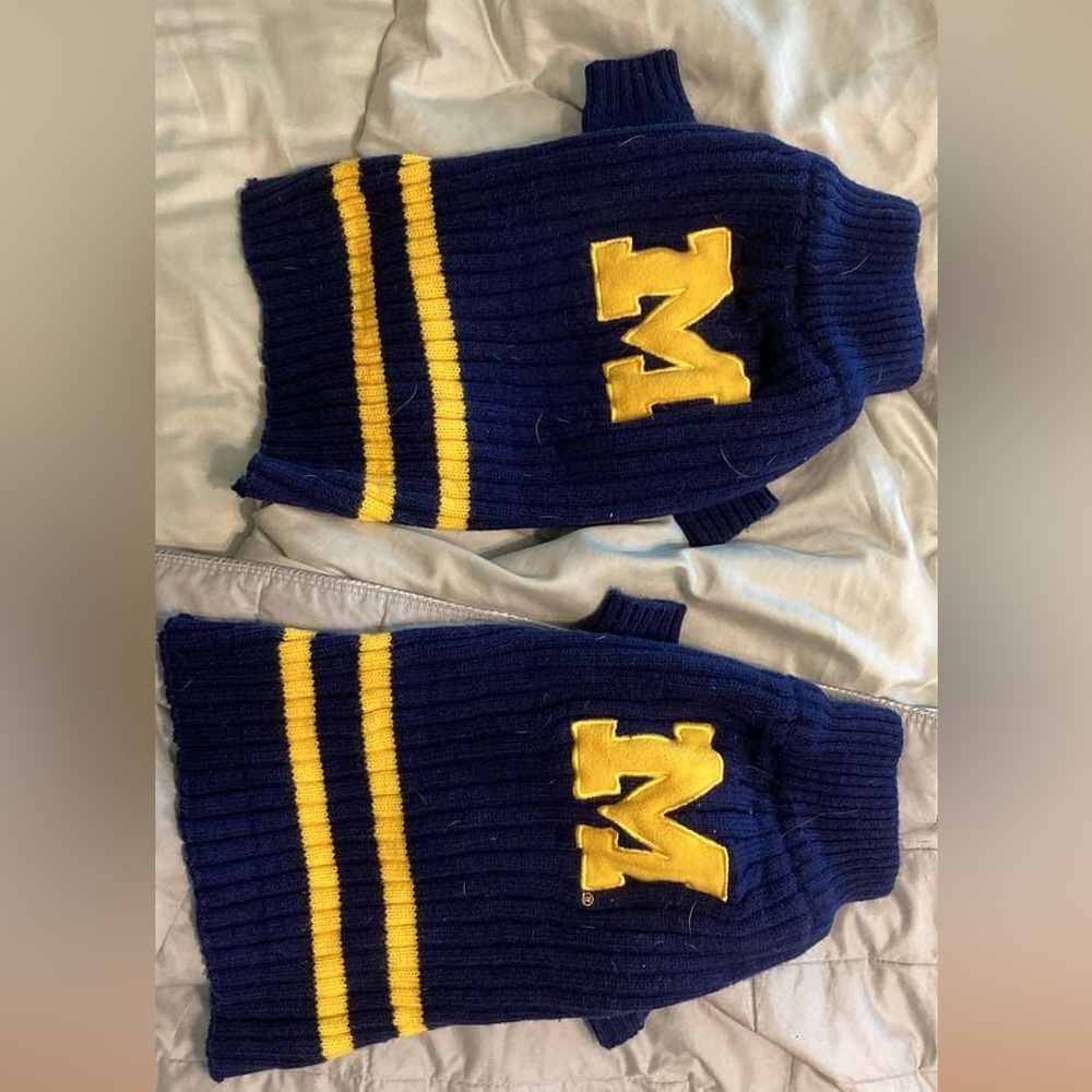 Michigan medium dog sweaters (2)